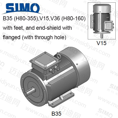 YE2(IP55)系列-機座帶底腳、端蓋上有凸緣(帶通孔)電動機