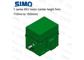 Y系列 6KV(中心高710-1000) 三相異步電動機